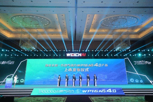 ΢Ž؈D_20250625205654.jpg