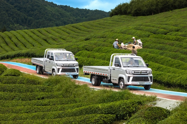 DƬ7.jpg